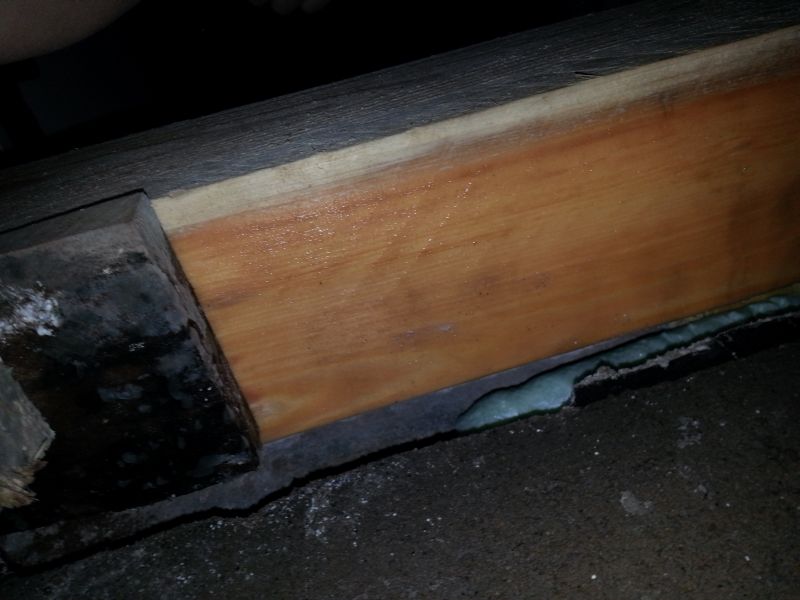 BAU.DE / BAU-Forum: 5. Bild zu Frage "Schimmel nach Fu&szlig;bodensanierung im Altbau: Ursachen, Gefahren & Sanierungskosten?" im BAU-Forum "Keller"