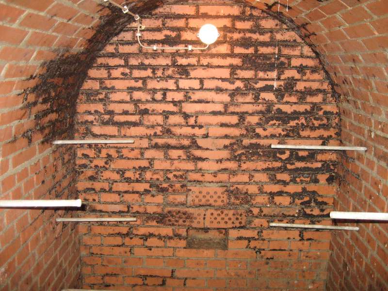 BAU.DE / BAU-Forum: 1. Bild zu Frage "Gem&uuml;selager im Keller: Schimmelbildung erkennen, Ursachen & Sanierung?" im BAU-Forum "Keller"