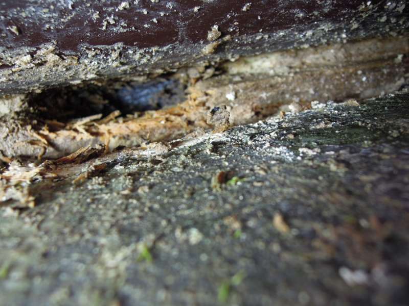 BAU.DE / BAU-Forum: 4. Bild zu Frage "Terrassenwasser dringt in Keller ein: Ursachen, Lösungen & Kosten für Abdichtung?" im BAU-Forum "Keller" BAU.DE / BAU-Forum: 4. Bild zu Frage "Terrassenwasser dringt in Keller ein: Ursachen, Lösungen & Kosten für Abdichtung?" im BAU-Forum "Keller"