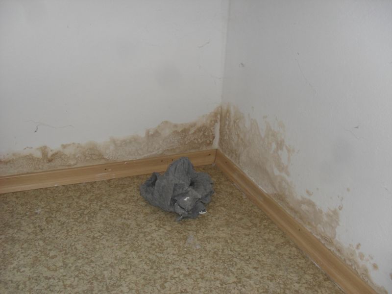 BAU.DE / BAU-Forum: 1. Bild zu Frage "Isolierfarbe deckt nicht: Ursachen f&uuml;r braune Flecken nach Wasserschaden? Schimmel erkennen & beseitigen" im BAU-Forum "Keller"