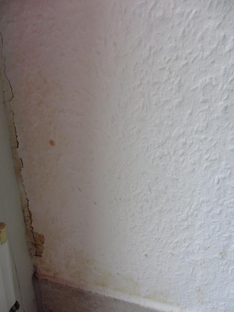 BAU.DE / BAU-Forum: 1. Bild zu Frage "Feuchte Kellerwohnung: Ursachen, Gefahren & Ma&szlig;nahmen zur Trockenlegung?" im BAU-Forum "Keller"