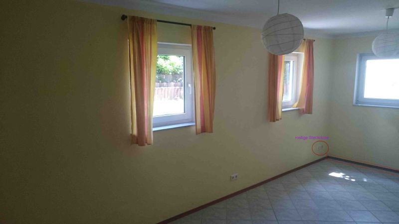 BAU.DE / BAU-Forum: 1. Bild zu Frage "Schimmel hinter Fußleisten im Keller: Ursachen, Gefahren & Sanierungskosten?" im BAU-Forum "Keller" BAU.DE / BAU-Forum: 1. Bild zu Frage "Schimmel hinter Fußleisten im Keller: Ursachen, Gefahren & Sanierungskosten?" im BAU-Forum "Keller"