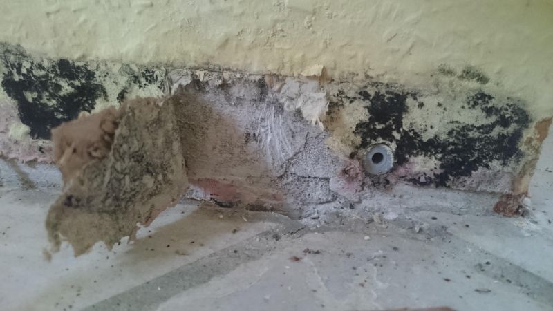 BAU.DE / BAU-Forum: 3. Bild zu Frage "Schimmel hinter Fußleisten im Keller: Ursachen, Gefahren & Sanierungskosten?" im BAU-Forum "Keller" BAU.DE / BAU-Forum: 3. Bild zu Frage "Schimmel hinter Fußleisten im Keller: Ursachen, Gefahren & Sanierungskosten?" im BAU-Forum "Keller"