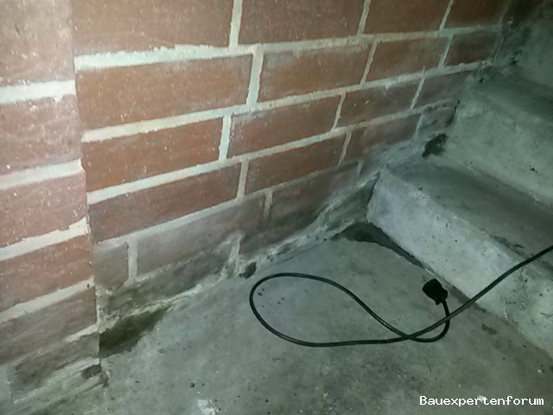 BAU.DE / BAU-Forum: 2. Bild zu Frage "Feuchter Kellerabgang: Ursachen finden & Abdichtung – Kosten, Methoden, Sofortmaßnahmen?" im BAU-Forum "Keller" BAU.DE / BAU-Forum: 2. Bild zu Frage "Feuchter Kellerabgang: Ursachen finden & Abdichtung – Kosten, Methoden, Sofortmaßnahmen?" im BAU-Forum "Keller"