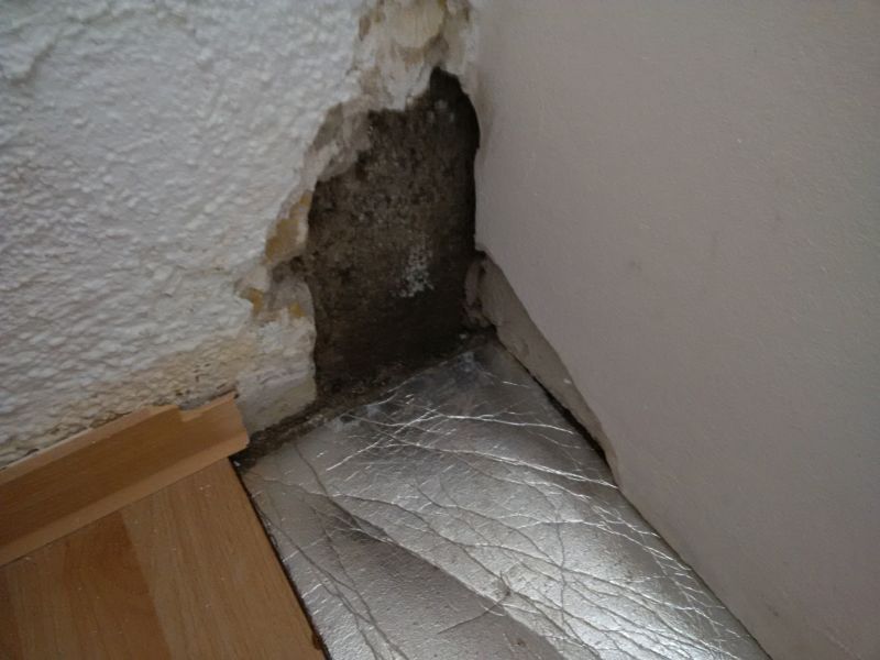 BAU.DE / BAU-Forum: 1. Bild zu Frage "Feuchtigkeit im Keller: Ursachenforschung (Doppelhaush&auml;lfte), Abdichtung & Kosten?" im BAU-Forum "Keller"