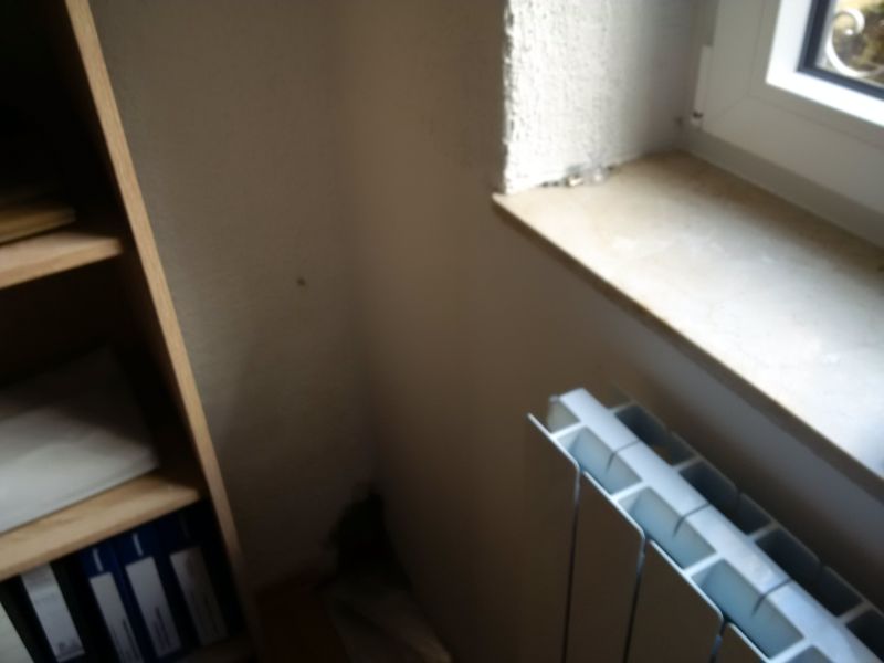BAU.DE / BAU-Forum: 5. Bild zu Frage "Feuchtigkeit im Keller: Ursachenforschung (Doppelhaush&auml;lfte), Abdichtung & Kosten?" im BAU-Forum "Keller"
