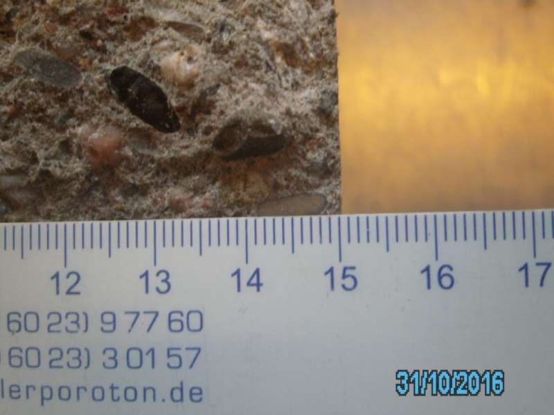 BAU.DE / BAU-Forum: 2. Bild zu Antwort "Drainage am Bauernhaus: Wirkung bei Hanglage?" auf die Frage "Feuchter Keller im Bauernhaus (1837): Ursachen, Sanierung & Drainage bei Hanglage?" im BAU-Forum "Keller" BAU.DE / BAU-Forum: 2. Bild zu Antwort "Drainage am Bauernhaus: Wirkung bei Hanglage?" auf die Frage "Feuchter Keller im Bauernhaus (1837): Ursachen, Sanierung & Drainage bei Hanglage?" im BAU-Forum "Keller"