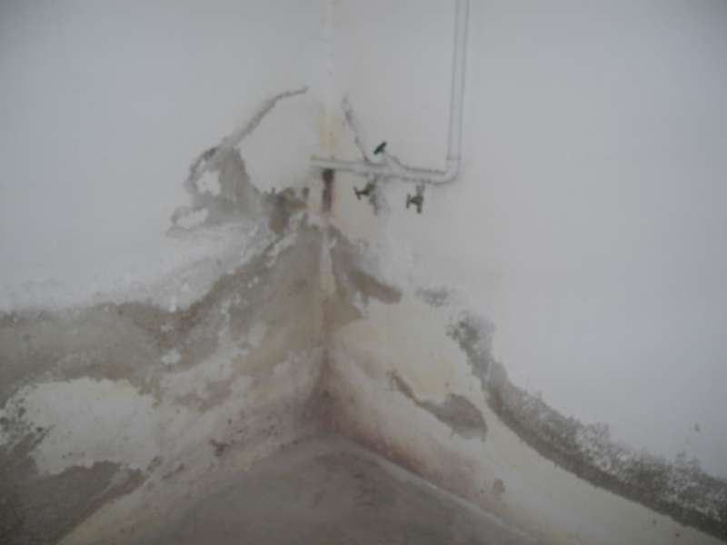 BAU.DE / BAU-Forum: 1. Bild zu Frage "Kellerwand Beurteilung Altbau (1965): Feuchtigkeit, Stampfbeton & Sanierungskosten?" im BAU-Forum "Keller"