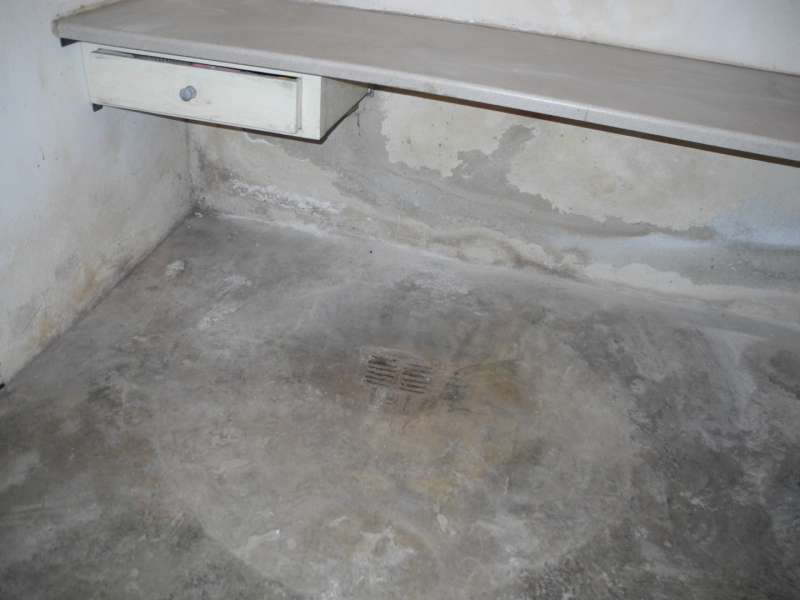 BAU.DE / BAU-Forum: 3. Bild zu Frage "Kellerwand Beurteilung Altbau (1965): Feuchtigkeit, Stampfbeton & Sanierungskosten?" im BAU-Forum "Keller"