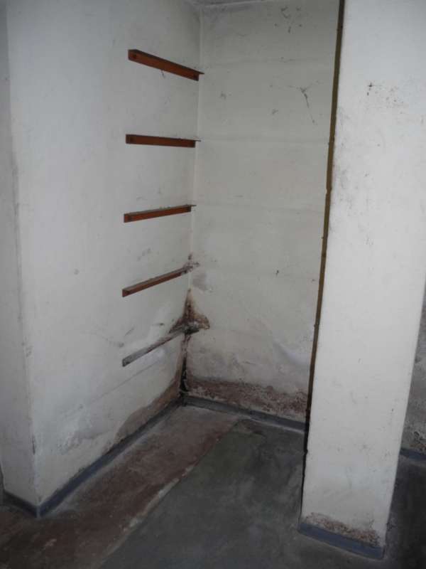 BAU.DE / BAU-Forum: 2. Bild zu Antwort "Altbau Sanierung: Kosteneinsch&auml;tzung f&uuml;r feuchten Keller" auf die Frage "Kellerwand Beurteilung Altbau (1965): Feuchtigkeit, Stampfbeton & Sanierungskosten?" im BAU-Forum "Keller"