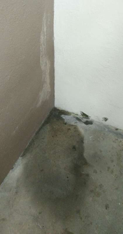 BAU.DE / BAU-Forum: 5. Bild zu Frage "Feuchtigkeit Kellertreppe bei Regen: Ursachen, Abdichtung & Sanierungskosten?" im BAU-Forum "Keller"