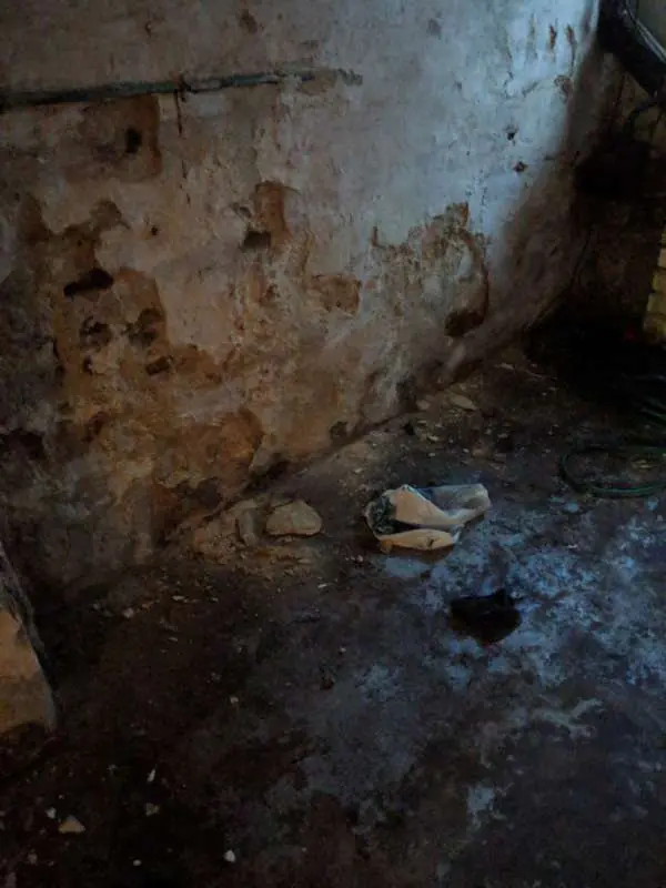 BAU.DE / BAU-Forum: 1. Bild zu Frage "Feuchter Keller im Altbau (1925): Ursachen, Sanierung & Kosten f&uuml;r Drainage?" im BAU-Forum "Keller"