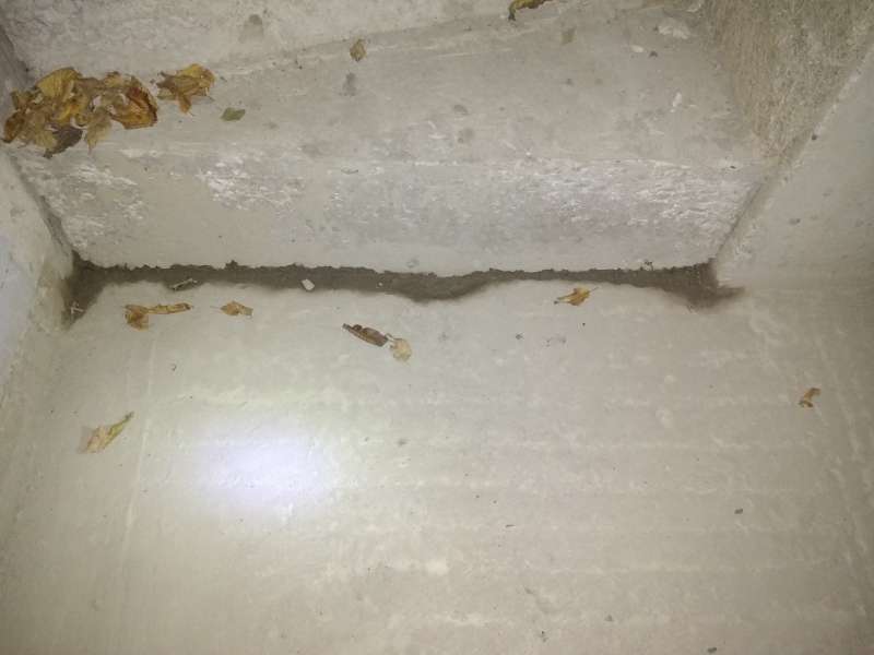 BAU.DE / BAU-Forum: 2. Bild zu Frage "Wasser im Keller durch M&ouml;rtel? Ursachen, Risiken & Sanierung der Kellertreppe" im BAU-Forum "Keller"