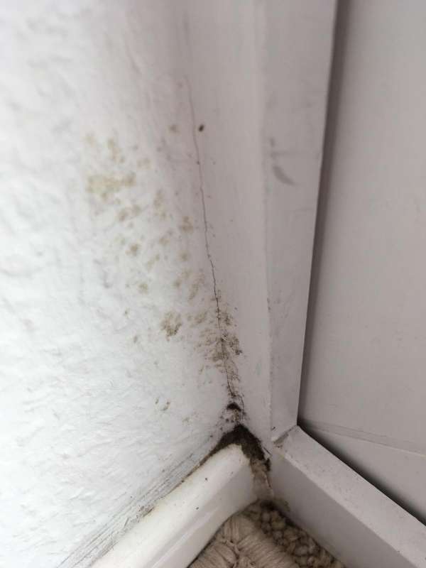 BAU.DE / BAU-Forum: 1. Bild zu Frage "Schimmelbefall erkennen: Ursachen, Gesundheitsrisiken & Sofortma&szlig;nahmen?" im BAU-Forum "Keller"