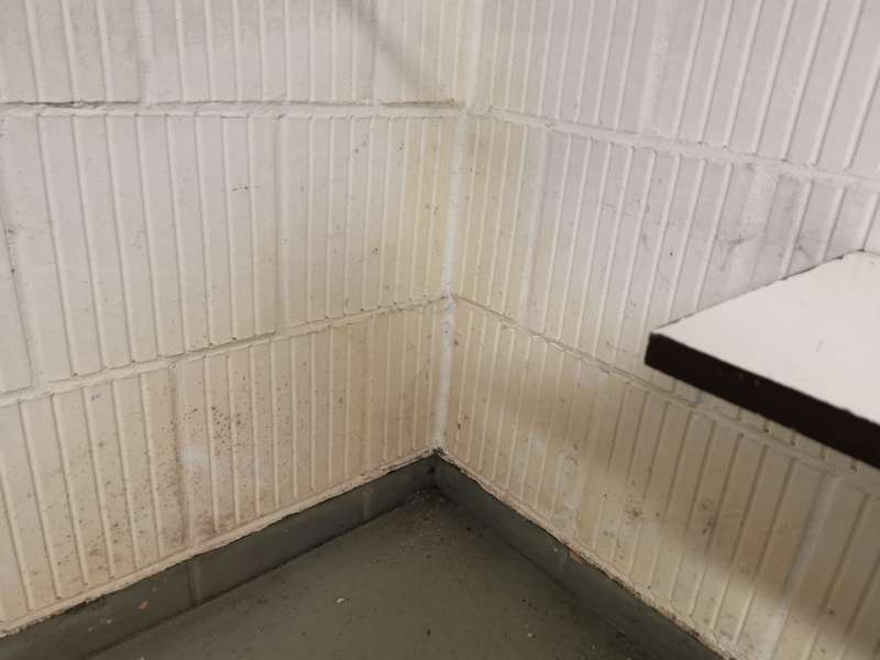 BAU.DE / BAU-Forum: 1. Bild zu Frage "Hohe Luftfeuchtigkeit in Wohnung (1992): Ursachen, Schimmelbildung & Sofortma&szlig;nahmen?" im BAU-Forum "Keller"