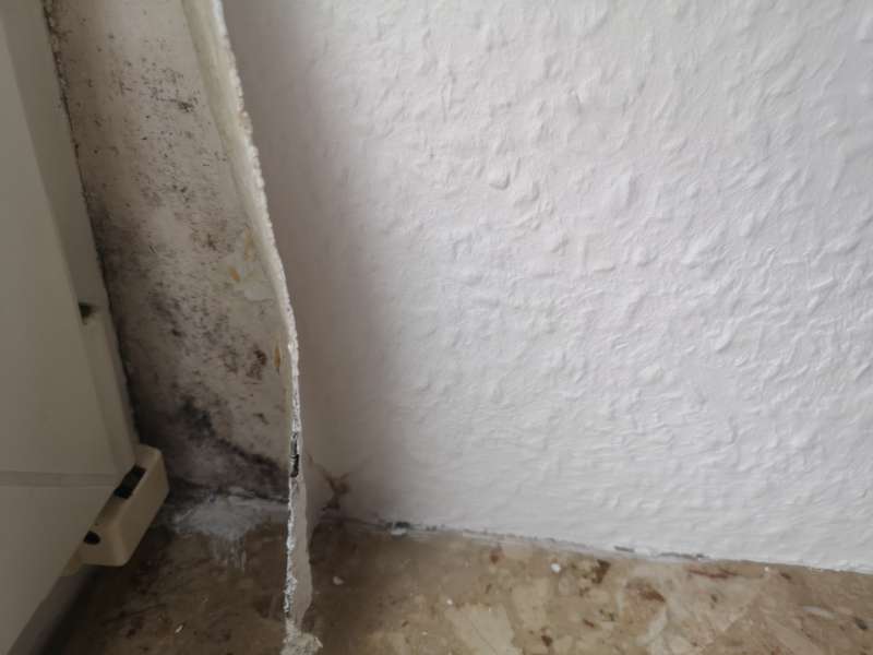 BAU.DE / BAU-Forum: 3. Bild zu Frage "Hohe Luftfeuchtigkeit in Wohnung (1992): Ursachen, Schimmelbildung & Sofortma&szlig;nahmen?" im BAU-Forum "Keller"