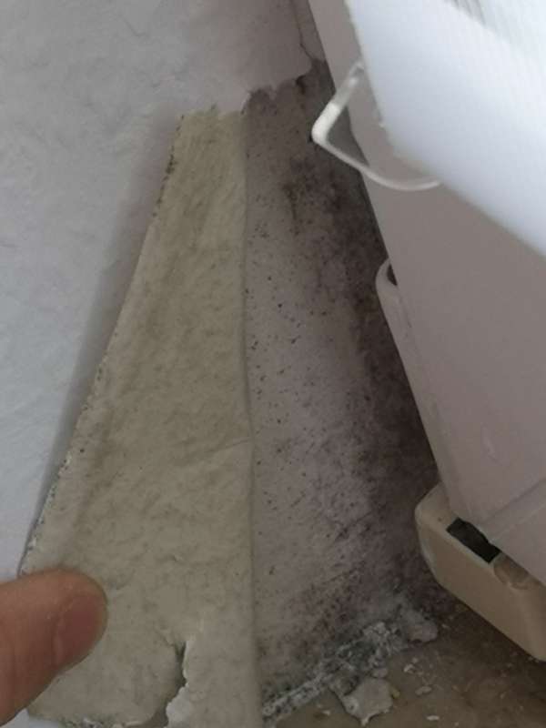 BAU.DE / BAU-Forum: 4. Bild zu Frage "Hohe Luftfeuchtigkeit in Wohnung (1992): Ursachen, Schimmelbildung & Sofortma&szlig;nahmen?" im BAU-Forum "Keller"