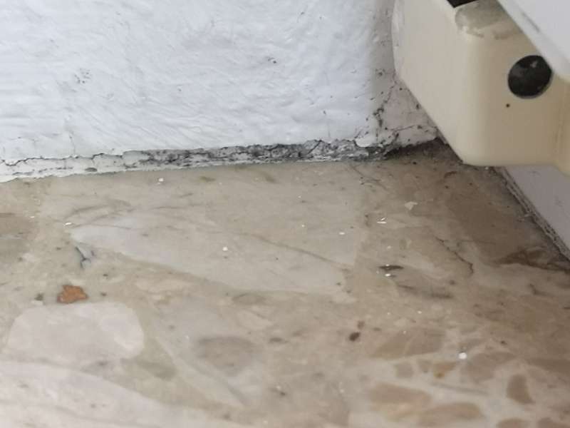 BAU.DE / BAU-Forum: 5. Bild zu Frage "Hohe Luftfeuchtigkeit in Wohnung (1992): Ursachen, Schimmelbildung & Sofortma&szlig;nahmen?" im BAU-Forum "Keller"