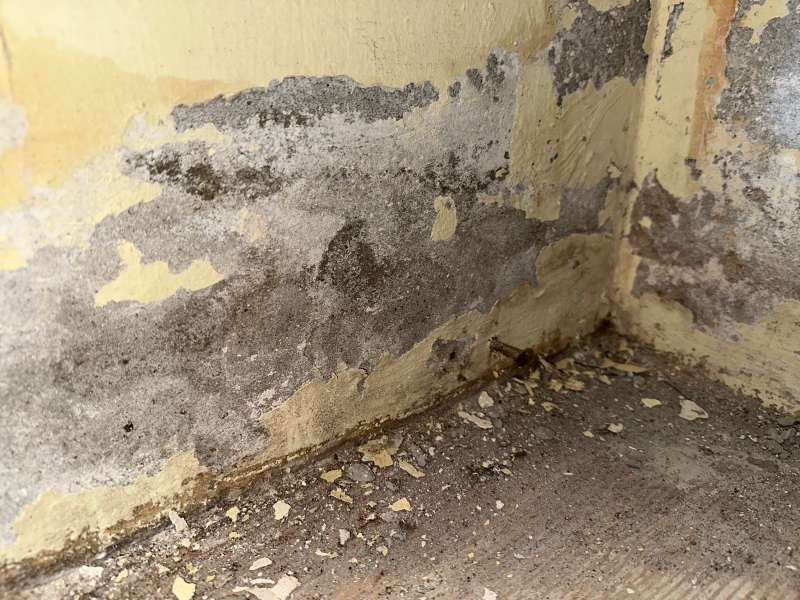 BAU.DE / BAU-Forum: 1. Bild zu Frage "Salzausbl&uuml;hungen im Keller: Ursachen, Gefahren & Sanierungskosten im Altbau?" im BAU-Forum "Keller"