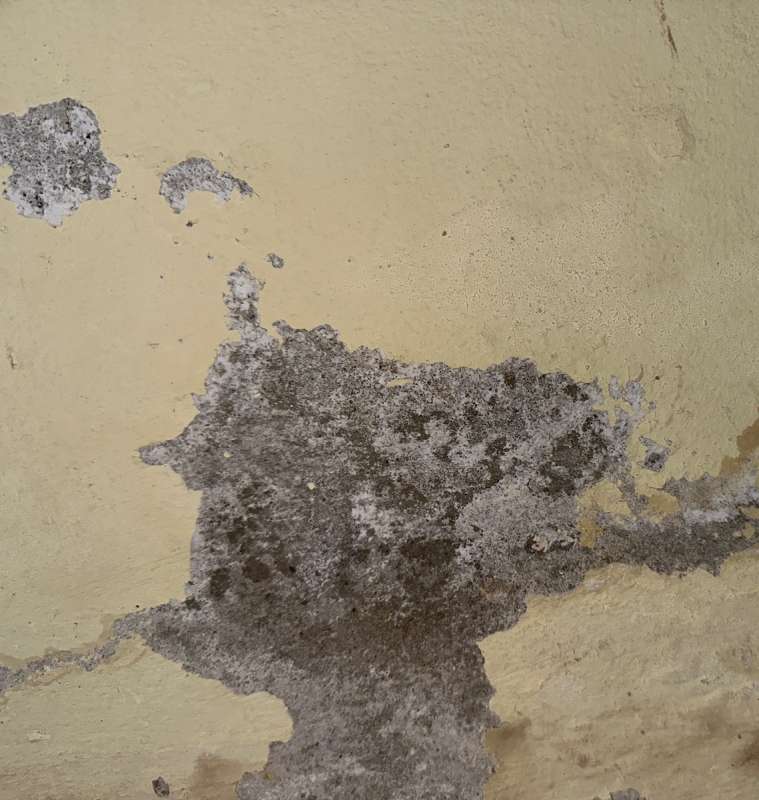 BAU.DE / BAU-Forum: 3. Bild zu Frage "Salzausbl&uuml;hungen im Keller: Ursachen, Gefahren & Sanierungskosten im Altbau?" im BAU-Forum "Keller"