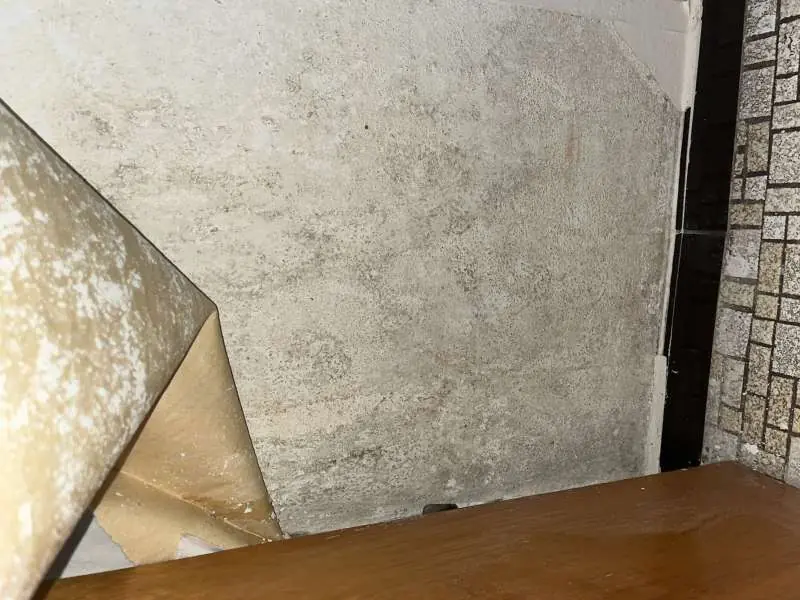 BAU.DE / BAU-Forum: 1. Bild zu Frage "Schimmel hinter Tapete nach Wasserschaden? Ursachen, Gefahren & Sofortma&szlig;nahmen" im BAU-Forum "Keller"