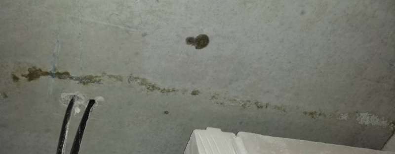 BAU.DE / BAU-Forum: 1. Bild zu Frage "Schimmel in Rohbaudecke?" im BAU-Forum "Neubau"