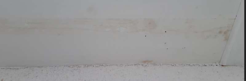 BAU.DE / BAU-Forum: 1. Bild zu Frage "Dachuntersichten verf&auml;rben sich, bitte um Hilfe bei Ursachenforschung" im BAU-Forum "Neubau"