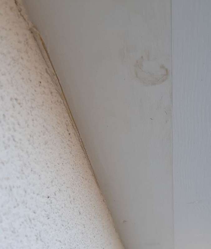 BAU.DE / BAU-Forum: 4. Bild zu Frage "Dachuntersichten verf&auml;rben sich, bitte um Hilfe bei Ursachenforschung" im BAU-Forum "Neubau"