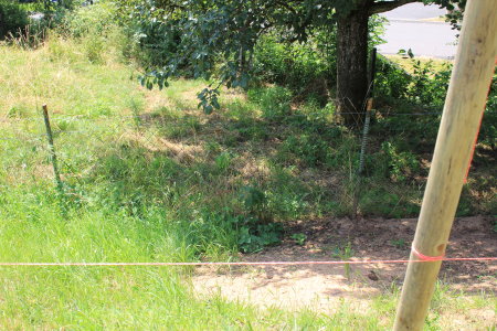 BAU.DE / BAU-Forum: 2. Bild zu Frage "Sichtschutzzaun in Hanglage: H&ouml;he, Abstand zur Grenze & Probleme mit Grundst&uuml;ck?" im BAU-Forum "Bauplanung / Baugenehmigung"