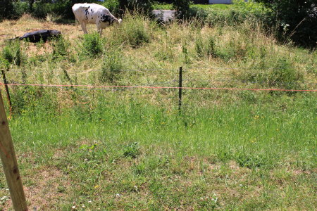 BAU.DE / BAU-Forum: 3. Bild zu Frage "Sichtschutzzaun in Hanglage: H&ouml;he, Abstand zur Grenze & Probleme mit Grundst&uuml;ck?" im BAU-Forum "Bauplanung / Baugenehmigung"