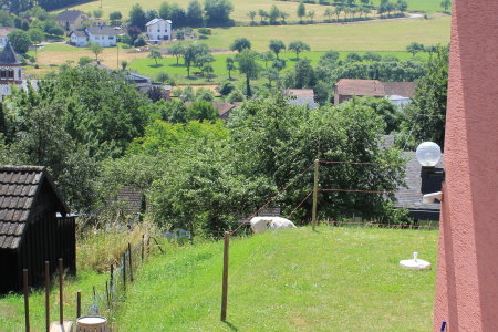 BAU.DE / BAU-Forum: 4. Bild zu Frage "Sichtschutzzaun in Hanglage: H&ouml;he, Abstand zur Grenze & Probleme mit Grundst&uuml;ck?" im BAU-Forum "Bauplanung / Baugenehmigung"