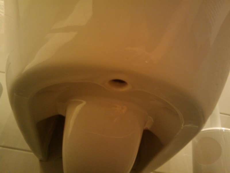 BAU.DE / BAU-Forum: 1. Bild zu Antwort "Foto... endlich" auf die Frage "WC Montage: Wer zahlt Demontage & Neumontage bei Haarriss nach Online-Kauf?" im BAU-Forum "Sanit&auml;r, Bad, Dusche, WC"