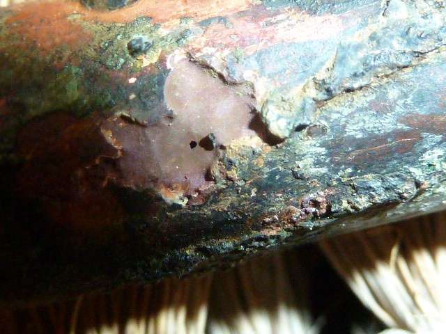 BAU.DE / BAU-Forum: 1. Bild zu Frage "Kupferrohr Lochfra&szlig;" im BAU-Forum "Sanit&auml;r, Bad, Dusche, WC"