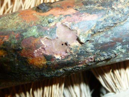 BAU.DE / BAU-Forum: 2. Bild zu Frage "Kupferrohr Lochfra&szlig;" im BAU-Forum "Sanit&auml;r, Bad, Dusche, WC"