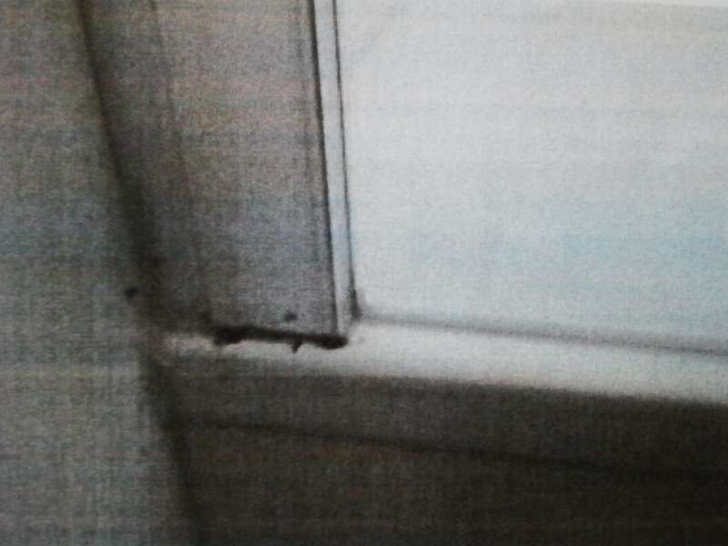 BAU.DE / BAU-Forum: 1. Bild zu Frage "Schimmel in Duschkabine &nbsp;-&nbsp; Einbaufehler?" im BAU-Forum "Sanit&auml;r, Bad, Dusche, WC"