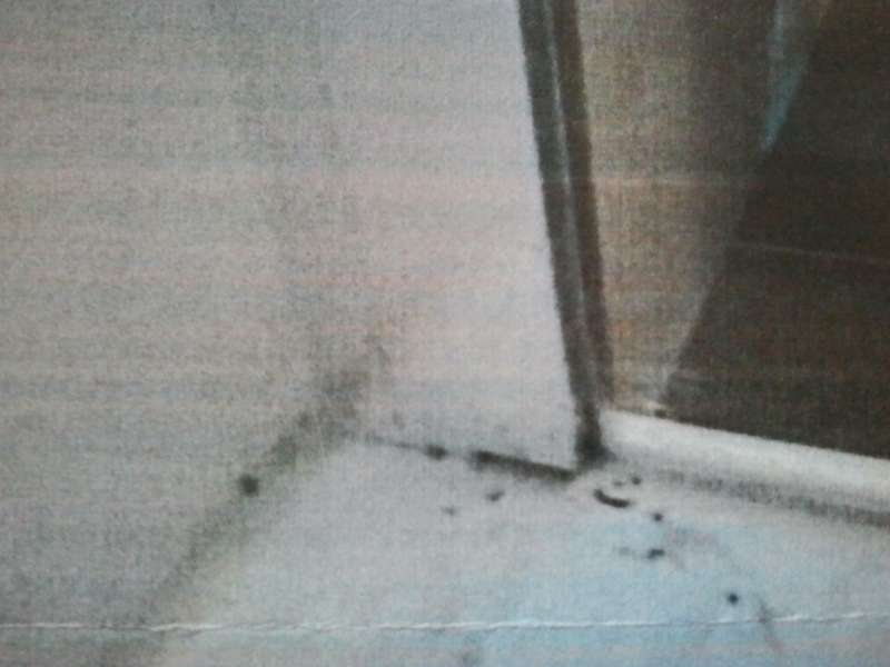 BAU.DE / BAU-Forum: 2. Bild zu Frage "Schimmel in Duschkabine &nbsp;-&nbsp; Einbaufehler?" im BAU-Forum "Sanit&auml;r, Bad, Dusche, WC"