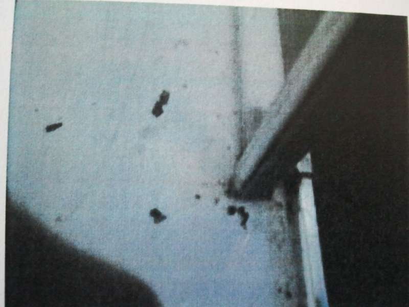 BAU.DE / BAU-Forum: 3. Bild zu Frage "Schimmel in Duschkabine &nbsp;-&nbsp; Einbaufehler?" im BAU-Forum "Sanit&auml;r, Bad, Dusche, WC"