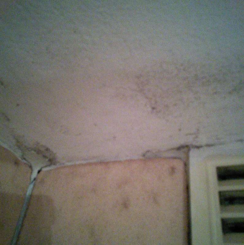 BAU.DE / BAU-Forum: 1. Bild zu Antwort "Schimmel Badezimmerdecke Aufgrund mangelnder Entl&uuml;ftung?" auf die Frage "Schimmelbildung im Bad ohne Fenster: Ursachen, Risiken & L&ouml;sungen f&uuml;r mangelnde L&uuml;ftung?" im BAU-Forum "Sanit&auml;r, Bad, Dusche, WC"