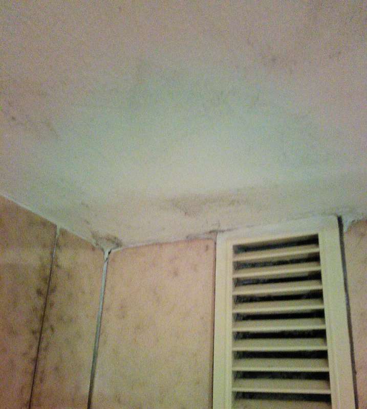 BAU.DE / BAU-Forum: 2. Bild zu Antwort "Schimmel Badezimmerdecke Aufgrund mangelnder Entl&uuml;ftung?" auf die Frage "Schimmelbildung im Bad ohne Fenster: Ursachen, Risiken & L&ouml;sungen f&uuml;r mangelnde L&uuml;ftung?" im BAU-Forum "Sanit&auml;r, Bad, Dusche, WC"