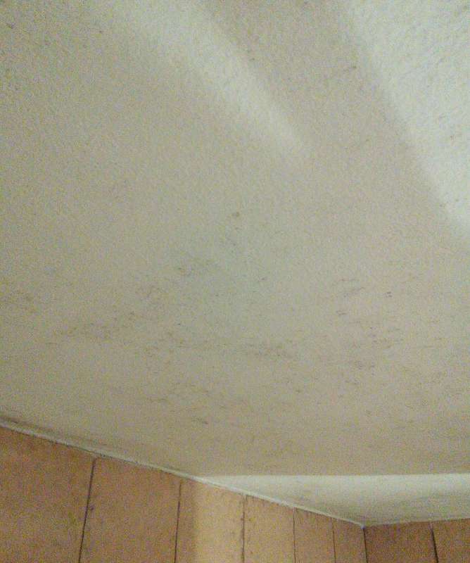 BAU.DE / BAU-Forum: 3. Bild zu Antwort "Schimmel Badezimmerdecke Aufgrund mangelnder Entl&uuml;ftung?" auf die Frage "Schimmelbildung im Bad ohne Fenster: Ursachen, Risiken & L&ouml;sungen f&uuml;r mangelnde L&uuml;ftung?" im BAU-Forum "Sanit&auml;r, Bad, Dusche, WC"