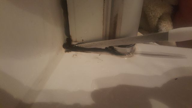 BAU.DE / BAU-Forum: 1. Bild zu Frage "kann Bad Silikon nach bei angeblich schlechter L&uuml;ftung br&uuml;chig werden?" im BAU-Forum "Sanit&auml;r, Bad, Dusche, WC"