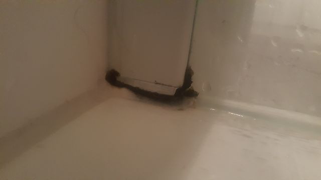 BAU.DE / BAU-Forum: 3. Bild zu Frage "kann Bad Silikon nach bei angeblich schlechter L&uuml;ftung br&uuml;chig werden?" im BAU-Forum "Sanit&auml;r, Bad, Dusche, WC"