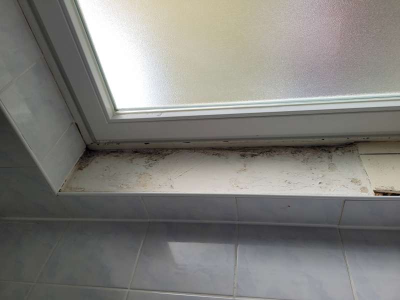 BAU.DE / BAU-Forum: 1. Bild zu Frage "Schimmel unter Fliesen: Ursachen erkennen, Gefahren beurteilen & Sanierung planen" im BAU-Forum "Sanit&auml;r, Bad, Dusche, WC"