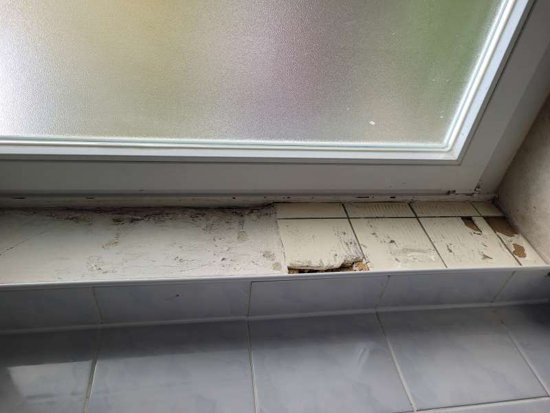 BAU.DE / BAU-Forum: 5. Bild zu Frage "Schimmel unter Fliesen: Ursachen erkennen, Gefahren beurteilen & Sanierung planen" im BAU-Forum "Sanit&auml;r, Bad, Dusche, WC"