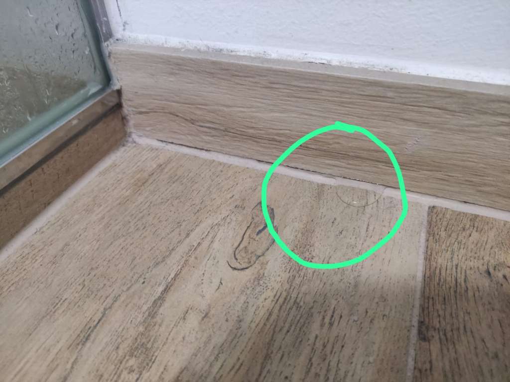 BAU.DE / BAU-Forum: 1. Bild zu Frage "Wasser neben Duschkabine" im BAU-Forum "Sanit&auml;r, Bad, Dusche, WC"