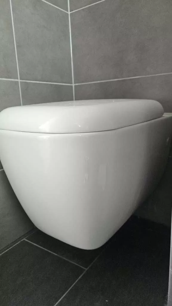 BAU-Forumsbeitrag: WC-Becken identifizieren: Hilfe bei der Suche nach passendem WC-Sitz