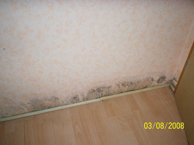 BAU.DE / BAU-Forum: 1. Bild zu Antwort "2. Bilder Schlafzimmer ..." auf die Frage "Nasse Innenwand Ursache unklar: Was tun bei Feuchtigkeit, Schimmel & Wasserschaden?" im BAU-Forum "Modernisierung / Sanierung / Bausch&auml;den"