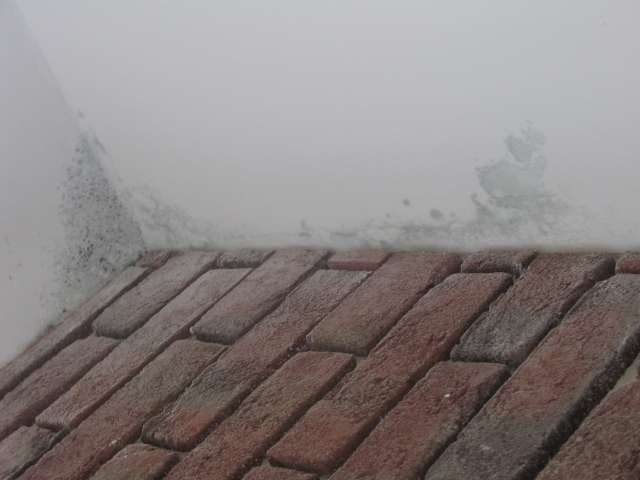 BAU.DE / BAU-Forum: 2. Bild zu Antwort "Massives Schimmel-Problem nach Wasserschaden in neuer Wohnung" auf die Frage "Wasserschaden nach Sanierung: Risse, Feuchtigkeit & Gewährleistung – Was tun?" im BAU-Forum "Modernisierung / Sanierung / Bauschäden" BAU.DE / BAU-Forum: 2. Bild zu Antwort "Massives Schimmel-Problem nach Wasserschaden in neuer Wohnung" auf die Frage "Wasserschaden nach Sanierung: Risse, Feuchtigkeit & Gewährleistung – Was tun?" im BAU-Forum "Modernisierung / Sanierung / Bauschäden"