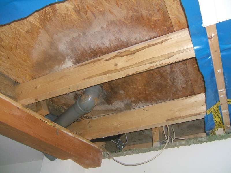 BAU.DE / BAU-Forum: 2. Bild zu Frage "Abwasser-Innenbelüftung bei Schimmel: Ursachen, Risiken & Kosten der Sanierung?" im BAU-Forum "Modernisierung / Sanierung / Bauschäden" BAU.DE / BAU-Forum: 2. Bild zu Frage "Abwasser-Innenbelüftung bei Schimmel: Ursachen, Risiken & Kosten der Sanierung?" im BAU-Forum "Modernisierung / Sanierung / Bauschäden"