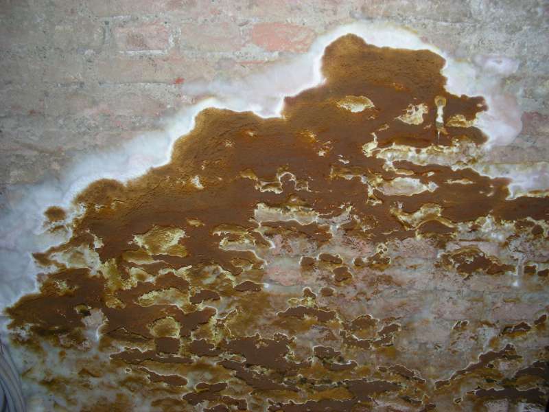 BAU.DE / BAU-Forum: 1. Bild zu Antwort "Zusatzinfo: Gesund wohnen in Altbauten &ndash; Feuchte & Schwammsch&auml;den" auf die Frage "Bau-Ratgeber f&uuml;r Laien: Bauweisen, Bauteile & TGA erkl&auml;rt &ndash; mit Kosten&uuml;bersicht?" im BAU-Forum "Modernisierung / Sanierung / Bausch&auml;den"